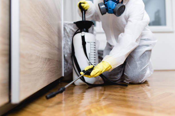 Best Emergency Pest Control  in Muscoy, CA