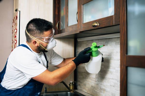 Best Emergency Pest Control  in Muscoy, CA