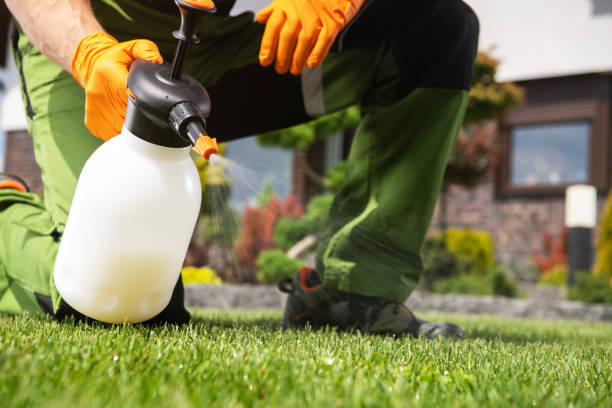 Best Bird Control  in Muscoy, CA