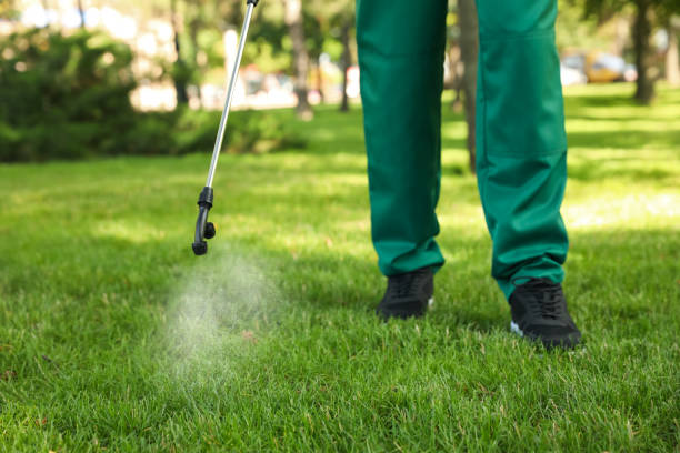 Best Affordable Pest Control Services  in Muscoy, CA