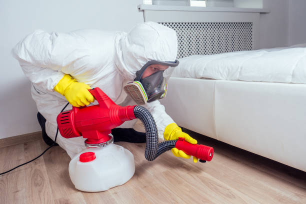 Best Wasp Removal Services  in Muscoy, CA