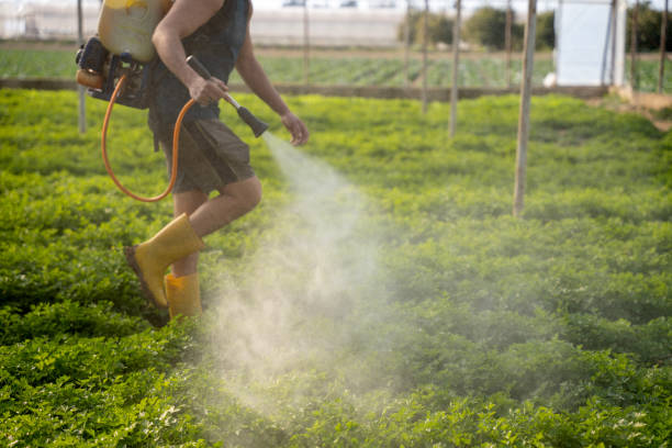 Pest Control Cost in Muscoy, CA