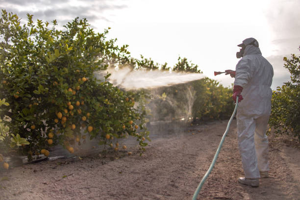 Best Wildlife Control Services  in Muscoy, CA