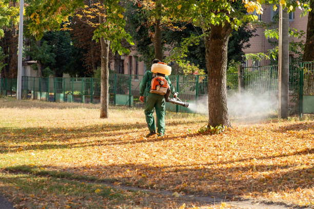 Best Commercial Pest Control Services  in Muscoy, CA