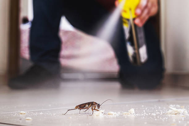 Wildlife Control Services in Muscoy, CA
