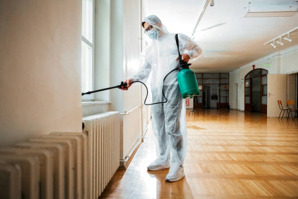 Best Flea Control Services  in Muscoy, CA