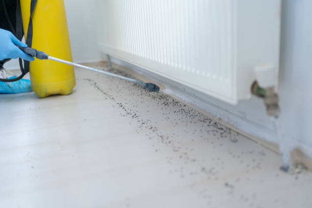 Pest Control for Restaurants in Muscoy, CA
