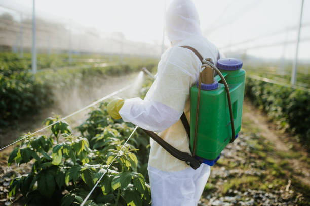 Reliable Muscoy, CA Pest Control Solutions